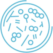 SAES Getters | DeoPrecision-06-1