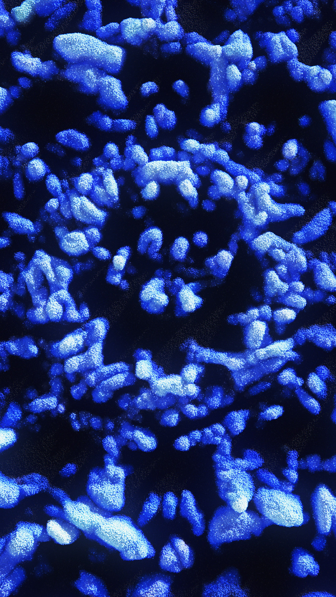 SAES Getters | ResearchLabs